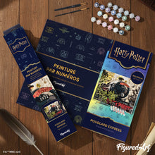 Charger l'image dans la galerie, Harry Potter - Poudlard Express