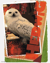 Charger l'image dans la galerie, Peinture par numéros Figured'Art Harry Potter - Carte Hedwige