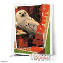Charger l'image dans la galerie, Harry Potter - Carte Hedwige