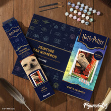Charger l'image dans la galerie, Harry Potter - Carte Hedwige