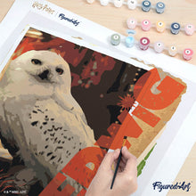 Charger l'image dans la galerie, Harry Potter - Carte Hedwige