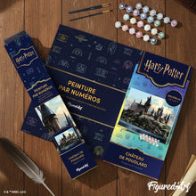 Charger l'image dans la galerie, Harry Potter - Château de Poudlard