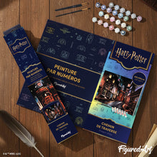 Charger l'image dans la galerie, Harry Potter - Chemin de Traverse