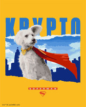 Charger l'image dans la galerie, Peinture par numéros Figured'Art Superman - Krypto avec Horizon