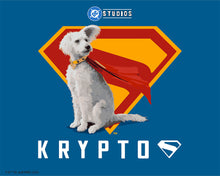 Charger l'image dans la galerie, Peinture par numéros Figured'Art Superman - Krypto avec Bouclier-S