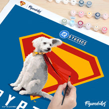 Charger l'image dans la galerie, Superman - Krypto avec Bouclier-S