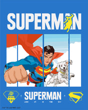 Charger l'image dans la galerie, Peinture par numéros Figured'Art Superman Volant avec Krypto