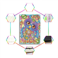 Charger l'image dans la galerie, Cahier Diamond Painting Hibou