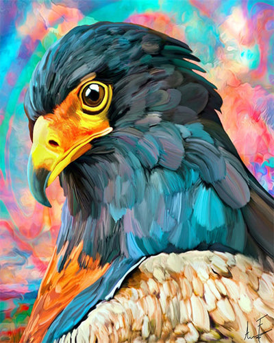 Peinture par numéros - Aigle et Couleurs