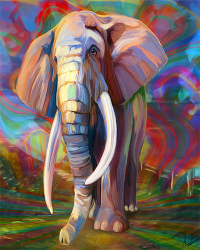Peinture par numéros - Vieil Eléphant solitaire