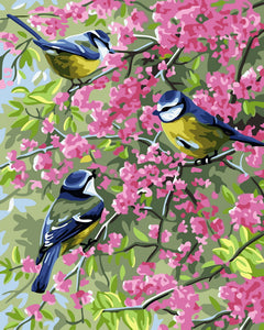 Trois oiseaux sur des branches fleuries