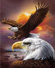 Charger l&#39;image dans la galerie, peinture par numéros | L’Aigle Américain | aigles, animaux, intermédiaire, oiseaux | FiguredArt