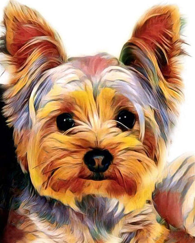 Broderie Point de Croix - Yorkshire Terrier