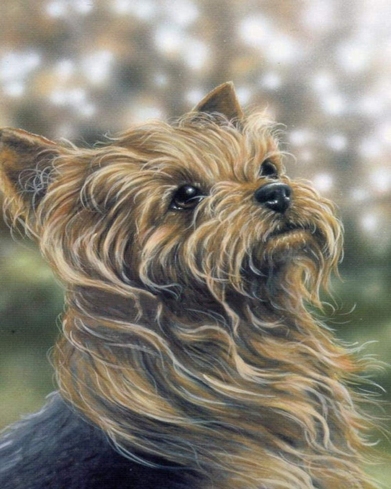 Broderie Diamant - Portrait d'un joli chien