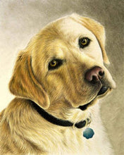 Charger l&#39;image dans la galerie, Broderie Diamant - Portrait d&#39;un Labrador
