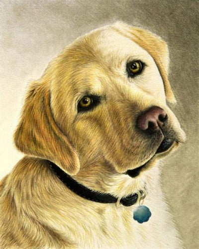 Broderie Diamant - Portrait d'un Labrador
