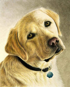 Broderie Diamant - Portrait d'un Labrador
