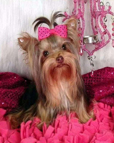 Broderie Diamant - Chien et fond rose
