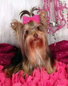 Broderie Diamant - Chien et fond rose
