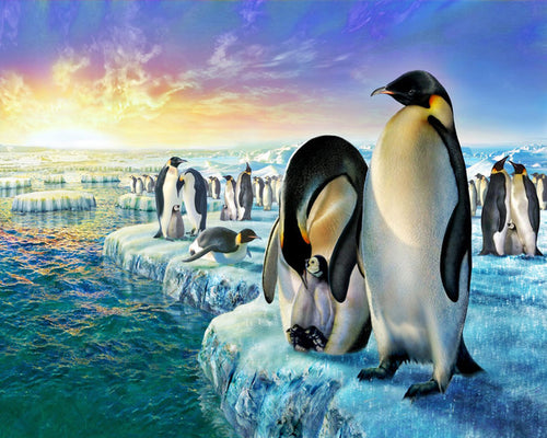 Peinture par numéros Pingouins sur la banquise | Figured'Art intermédiaire nouveautés animaux pingouins paysages