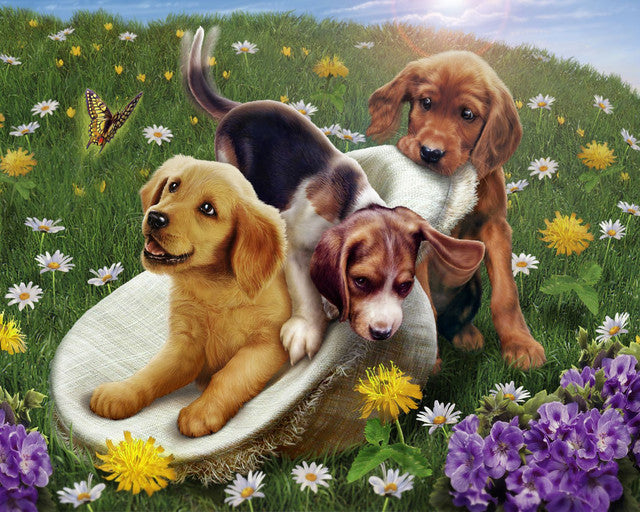 Peinture par numéros Jeux entre amis | Figured'Art intermédiaire nouveautés animaux chiens fleurs
