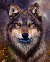 Charger l&#39;image dans la galerie, Peinture par numéros Tête de loup | Figured&#39;Art intermédiaire nouveautés animaux loups