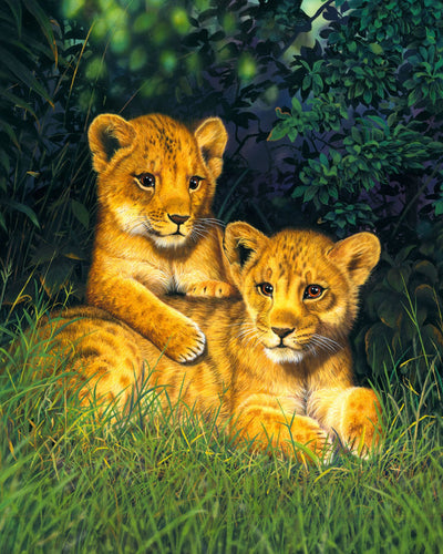 Peinture par numéros Lionceaux | Figured'Art complexe nouveautés animaux lions