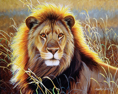 Peinture par numéros Lion dans la savane | Figured'Art intermédiaire nouveautés animaux lions