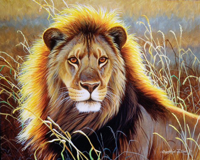 Peinture par Numéro Figured'Art - Tête de lion en noir et blanc - Kit de  Loisir Créatif DIY Numéro d'Art Complet - 40x50cm sans châssis en bois - Peintures  par numéro