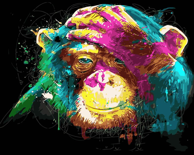 Peinture par Numéro Adulte，Singe orang-outan coloré abstrait 40x50 cm  Bricolage Tableau Peindre par Nombre pour Enfants Jouets à peindre, cadeaux  peints à la mainHome Decor : : Jeux et Jouets