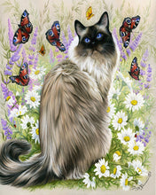 Charger l&#39;image dans la galerie, Peinture par numéros Découverte des papillons | Figured&#39;Art intermédiaire nouveautés animaux chats papillons fleurs