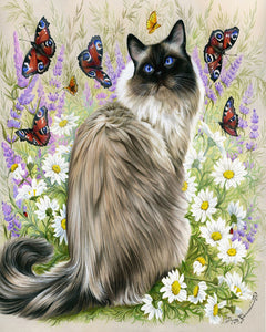 Peinture par numéros Découverte des papillons | Figured'Art intermédiaire nouveautés animaux chats papillons fleurs