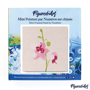 Mini Peinture par Numéros 20x20cm avec cadre Orchidée