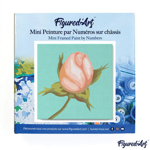 Mini Peinture par Numéros 20x20cm avec cadre Fleur en bouton