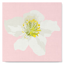 Charger l&#39;image dans la galerie, Mini Peinture par Numéros petit format 20x20cm avec cadre Fleur d&#39;Eglantier