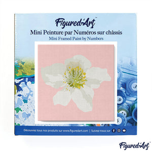 Mini Peinture par Numéros 20x20cm avec cadre Fleur d'Eglantier