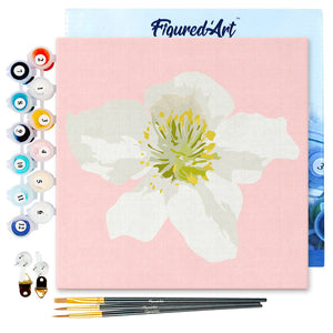 Mini Peinture par Numéros 20x20cm avec cadre Fleur d'Eglantier