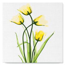 Charger l&#39;image dans la galerie, Mini Peinture par Numéros petit format 20x20cm avec cadre Jolies Fleurs Jaunes