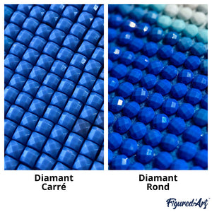 Broderie Diamant | Broderie Diamant - Fleurs Multi couleurs | Broderie Fleurs fleurs | FiguredArt