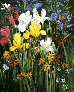 SUMGAR Peinture par Numéro Adulte Fleurs Rose, Kits de Peinture au SUMGAR Peinture par Numéro Adulte Fleurs Rose, Kits de Peinture au