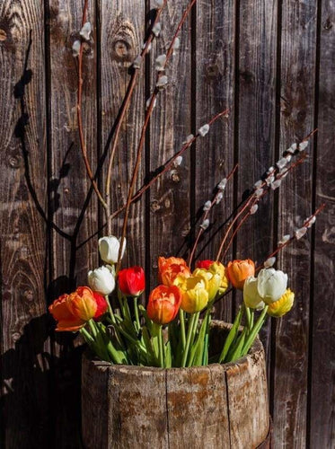 peinture par numéros | Barril de Tulipes | complexe fleurs | FiguredArt