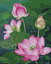 Charger l&#39;image dans la galerie, peinture par numéros | Beauté des Lotus fleuris | facile fleurs | FiguredArt
