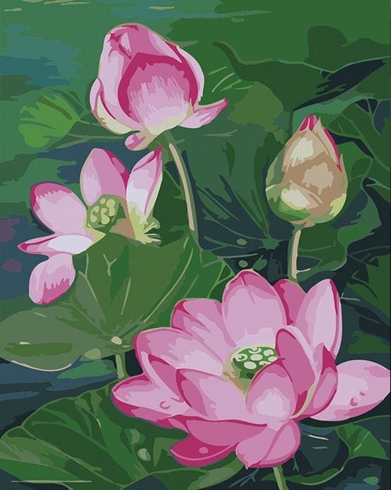 peinture par numéros | Beauté des Lotus fleuris | facile fleurs | FiguredArt
