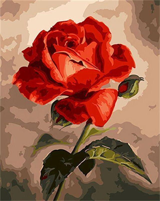 peinture par numéros | Belle rose rouge | nouveautés fleurs facile | FiguredArt