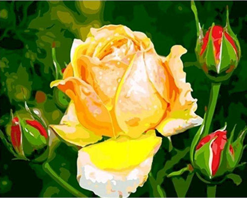 peinture par numéros | Bouton de rose jaune | nouveautés fleurs facile | FiguredArt