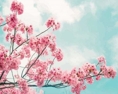 peinture par numéros | Branche en Fleurs | fleurs intermédiaire | FiguredArt