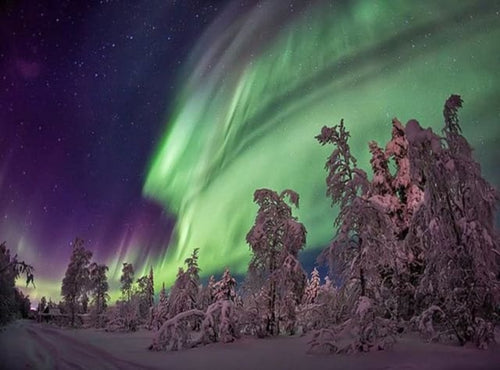 Broderie Diamant | Broderie Diamant - Aurore Boréale et Sapins | Broderie Paysages paysages | FiguredArt