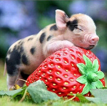 Charger l&#39;image dans la galerie, Broderie Diamant | Broderie Diamant - Bébé Cochon et Fraise | animaux Broderie Animaux | FiguredArt