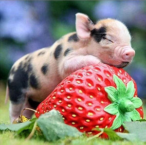 Broderie Diamant | Broderie Diamant - Bébé Cochon et Fraise | animaux Broderie Animaux | FiguredArt