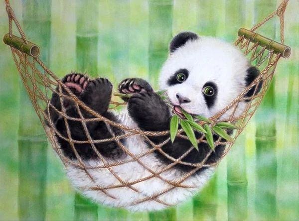 Broderie Diamant | Broderie Diamant - Bébé Panda dans son Hamac | animaux Broderie Animaux pandas | FiguredArt